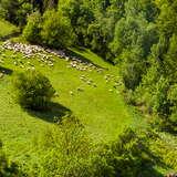 Bild: Szlakiem pasterzy – z dziećmi naturalnie!