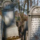 Immagine: L’Itinerario Ebraico della Memoria