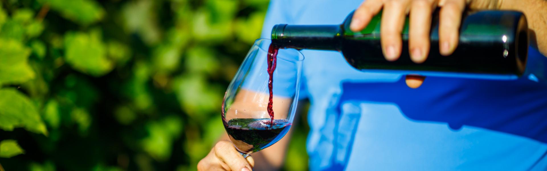 Мужчина наливает вино в бокал на фоне виноградной лозы