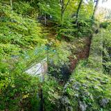 Bild: Ruine der Pieninen-Burg in Krościenko nad Dunajcem