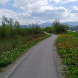 Obrazek: Trasa rowerowa: VeloNatura (EV11) odcinek Piwniczna - Barcice