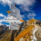 Zdjęcie przedstawia znaki turystyczne które spotkać można na szlakach turystycznych w Tatrach Wysokich.