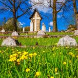 Image: War Cemetery no. 138 in Bogoniowice