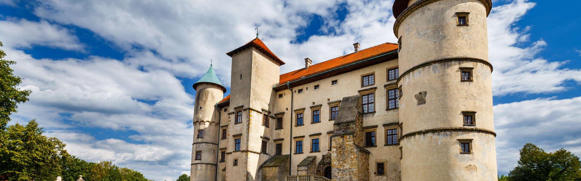 Castle in Nowy Wiśnicz