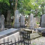 Zabytkowe macewy cmentarzu żydowskim w Tarnowie