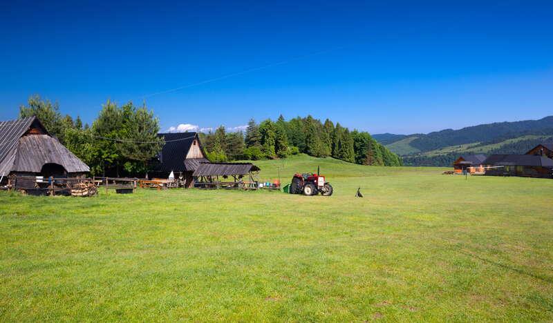Widok na polanę oraz Bacówkę Wojciecha Gromady w Jaworkach. Przed bacówką stoi traktor. Obok obiektu rośnie niewielki las. Nad wszystkim piękne niebieskie niebo.