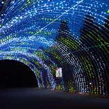 tunel świetlny w Ogrodzie Świateł Piotruś Pan