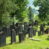 Bild: Jüdischer Friedhof in Bobowa